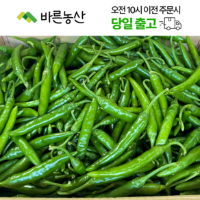 < 바른농산 > 국내산 햇 청양고추 매운고추 땡초 특품 (1kg 2kg 3kg 5kg 10kg), 1개, 특 2kg