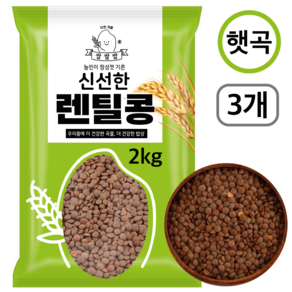 [쌀쌀쌀] 캐나다산 햇 브라운 렌틸콩, 3개, 2kg