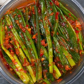 [한우리] 파김치 300g, 1개