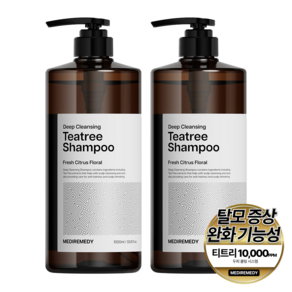 메디레머디 티트리 지성 탈모 샴푸 1000ml + 선물포장, 2개, 1L