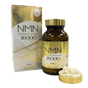 일본 스타일재팬 NMN 36000 3개월분 180캡슐