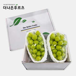 특품 국산 샤인머스캣 2입 기프트세트 1.4kg 이상, 1개