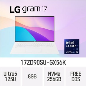 LG전자 2024 그램17 17ZD90SU-GX56K, Fee DOS, 8GB, 256GB, 스노우화이트