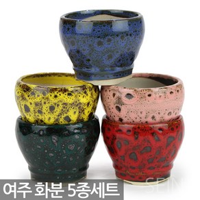 세인화분 국산 여주 다육 다육이 화분 5종 세트, 대진_원형화분(혼합), 1세트