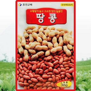 동원 땅콩 씨앗 30g, 1개