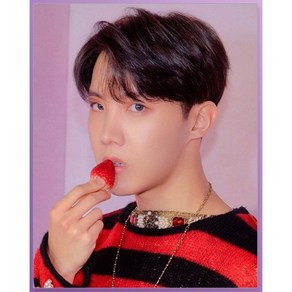 DIY 보석십자수 BTS 방탄소년단 큐빅 페인팅2 J-hope 제이홉 40x50, 1개