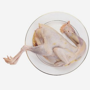(배터짐) 영양만점 토종 꿩고기 까투리 (일요일&당일발송), 700g 내외, 1개