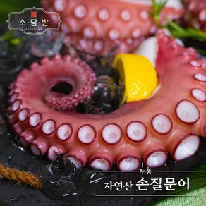 신세계라이브쇼핑 [소담반]자연산손질문어 200g X 7팩(총 1.4kg)