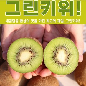 제스프리 뉴질랜드 그린키위 항공직송 2.2kg, 1개