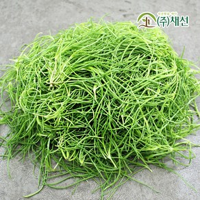 해풍맞아 짭짤한 세발나물 갯나물 500g, 1개