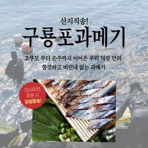 포항 구룡포 해풍 과메기 손질 반손질10마리(20쪽) 20마리 (40쪽), 1개, 반손질 10마리(20쪽)