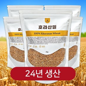 최근생산 햇 호라산밀 정품 카뮤트 통곡물, 1개, 5kg