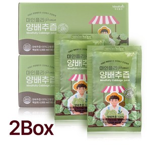마인플리 국내산 양배추즙, 2박스, 5000ml