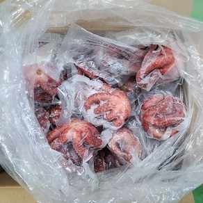 도매/업소용 대용량 9kg 냉동자숙문어 (데친문어) [EL], 1.1kg 내외(7~8미), 1개