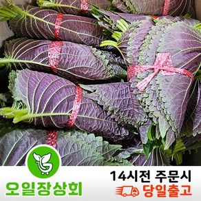 오일장상회 국내산 깻잎 2kg내외 4kg내외