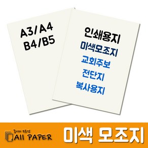 올페이퍼 미색모조지 인쇄용지 복사지, 120g_미색모조지_B4, 250매