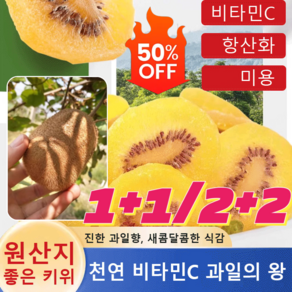 [1+1+2+2특가!] 키위칩 1kg 오가닉 골드 말린 키위 천연 비타민C 건키위, [1+1] 500g/가방, 4개