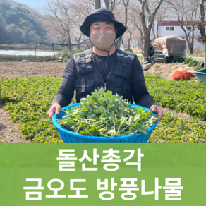 [돌산총각] 산지직송 금오도 방풍나물 노지재배, 방풍나물 1kg, 1개