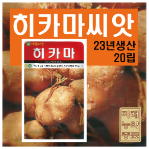 히카마 씨앗 20립- 얌빈 씨앗, 1개