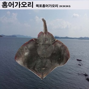 가오리 1 마리 2 kg 전후 목포가오리, 2kg 내외, 1개