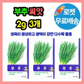 부추 씨앗 (합 6g) 부추종자 씨, 3개