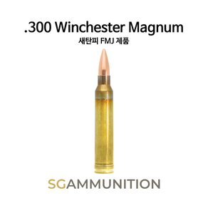 실물기반의 .300 Winchester Magnum 새탄피 더미탄(모형탄 모형총알 300윈맥 .300 WIN Mag AWM)