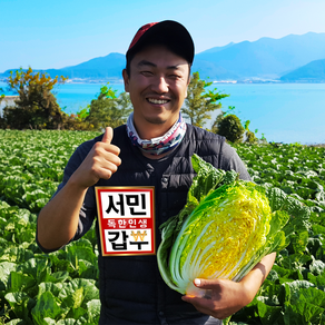 서민갑부 절임배추 해남 절임배추20kg 김장예약 절인배추 모든날짜가능