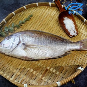 반건조 제수용 국산 참돔 참도미 손질 천일염 소금간된 제사용 말린 생선, 참돔중대34cm, 1개