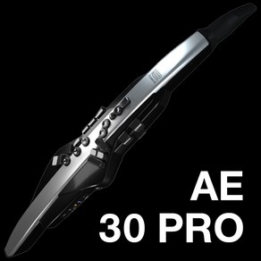 Roland 롤랜드 전자 색소폰 에어로폰 AE-30Pro