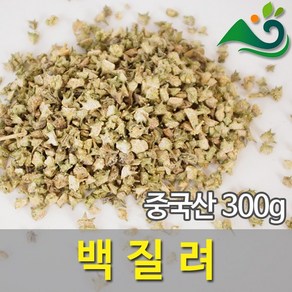 백질려(300g)-수입산, 1개