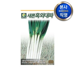 새론흑외 대파 씨앗 400g . 야채 채소 텃밭 파종 재배 주말 농장 씨 종자, 1개