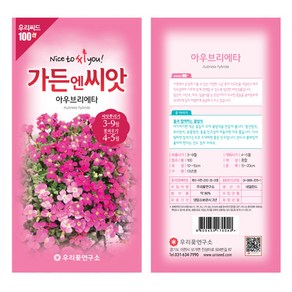 [가든조아] 가든엔씨앗 아우브리에타 씨앗 다년생 꽃씨 100립, 1개