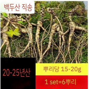 25년산 백두산 신선한 임하삼 산양삼 임하산삼 선물용 백두산산삼 6뿌리/세트, 20년산 6뿌리, 1세트, 6개