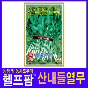 헬프팜 산내들열무 25g 무씨 씨앗 종자 KS종묘, 1개