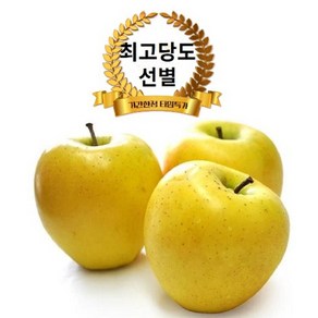 [역대급최고당도] 산지직송 시나노골드 사과 특품, 1개, 10kg