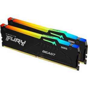 킹스턴 퓨리 비스트 16GB 2x8GB 5600MTs DDR5 CL36 RGB 데스크탑 메모리 키트 2개  적외선 동기화 AMD 엑스포 플러그 앤 플레이 KF556C36BBE, 6000MT/s_32GB (2x16GB)