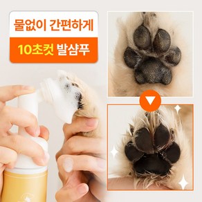 도고앤가또 물없이 간편하고 깨끗하게 꽃길걷개 워터리스 샴푸 180ml, 1개