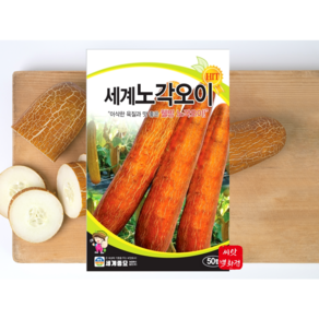 노각씨앗 크고 단단하고 무쳐먹어도 맛있고 반찬으로 최고인 제배도 쉬운 노각종자 노각씨앗, 1개