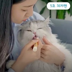 고양이 5초 양치 칫솔치약 일체형 냥치카펜, 1개