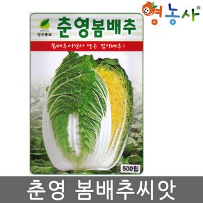 춘영 봄 배추 씨앗 500립 봄배추 종자, 춘영봄배추씨앗, 1개