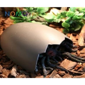 [NOMOY] NA-02 깨진달걀은신처 (소) / 파충류용품 도마뱀 레오파드게코 육지거북, 1개