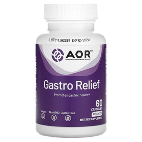 AOR 매스틱검 알긴산 아연 카르노신 생강 Gasto Relief 60 캡슐 약들약 고약사 / 해외직구 미국정품, 성인남녀공용, 1개, 60회분