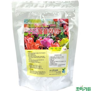 [조이가든] 구근 웰플라워 - 1kg, 1개