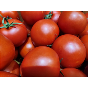 [찰지고 맛있어요] 논산 스마트팜 완숙 찰 토마토 쥬스용 간식용 샐러드용 tomato, 2kg, 1박스