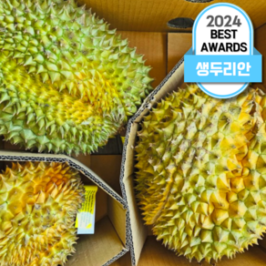 항공직송 특등급 태국 생두리안 durian