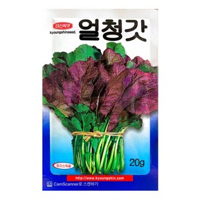 갓 씨앗 얼청갓 종자 20G 경신종묘, 1개