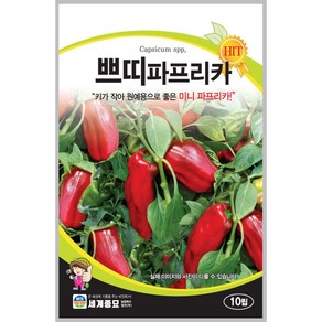 쁘띠파프리카 씨앗 10립 / 씨앗 종자 조생종 미니 파프리카 파라곤 식용 관상용, 1개