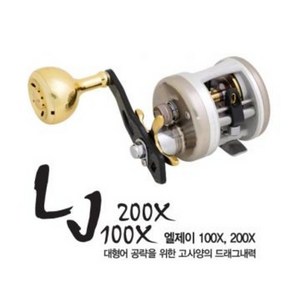 블루어 바낙스 LJ 100X 200X 장구통 베이트릴, 선택완료, 100X(우핸들)