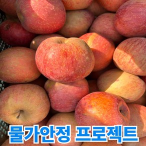 초특가 청담농수산 경북 가정용 흠집 못난이 부사사과, 1개, 4kg (21-25과)