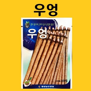 농사친구 우엉 300립 동원 씨 종자 상추 쪽파 고사리 명이나물 산상추 초당옥수수 항암배추 담배 산마늘 아스파라거스 고수, 1개